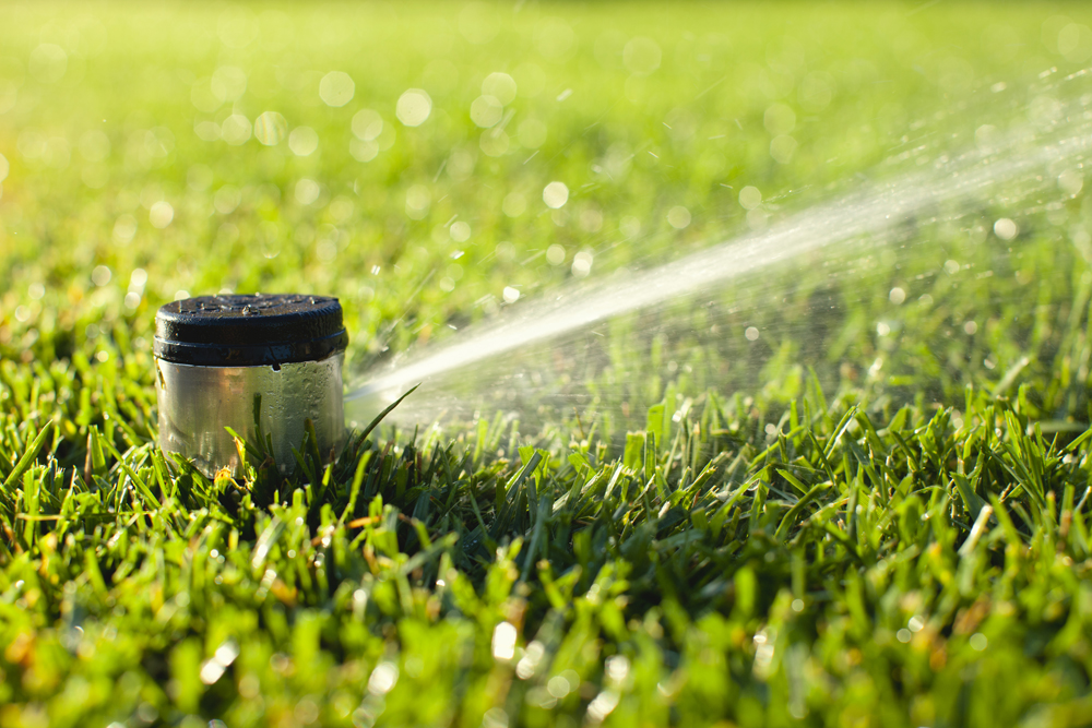 Schedule Your Sprinkler System Opening in Windsor and Essex County