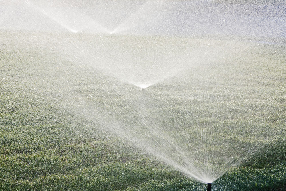 New Sprinkler System Installations in Windsor-Essex