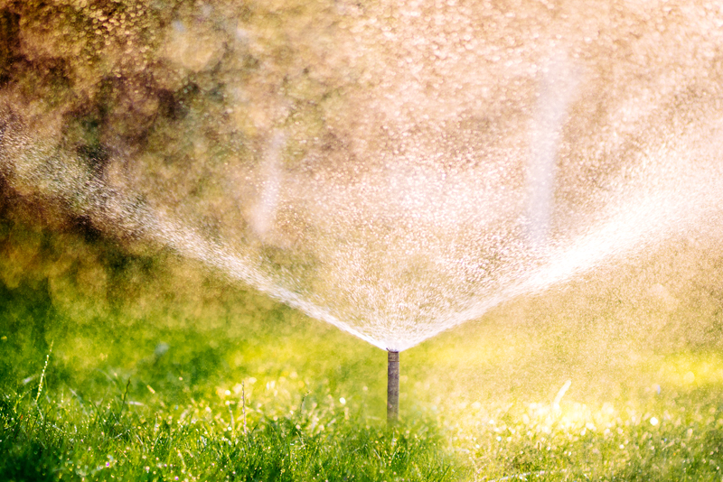 Reasons to Get a New Sprinkler System in Windsor-Essex
