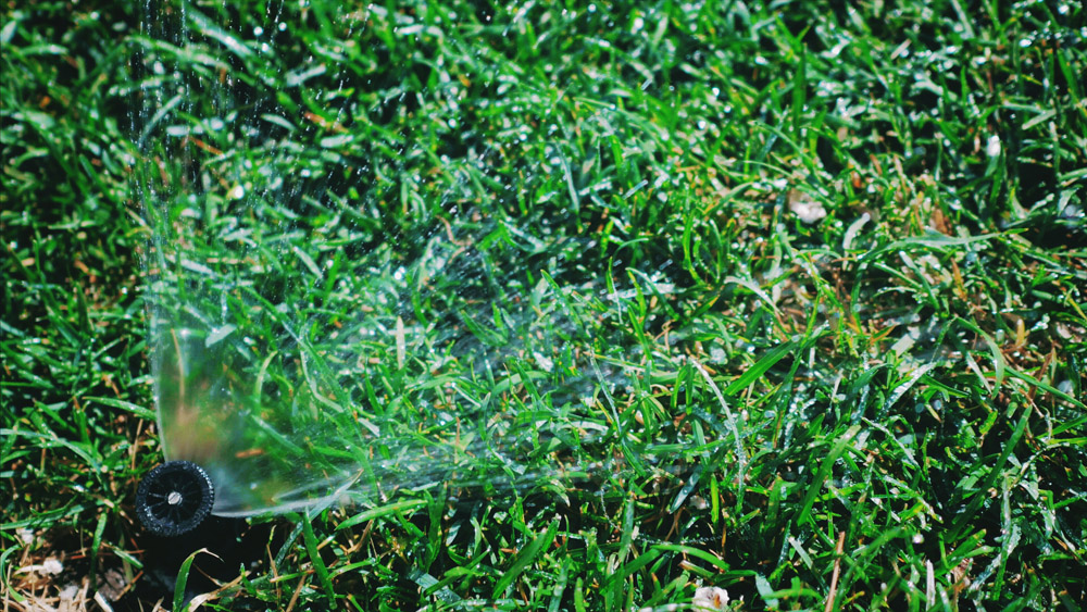 Your Windsor-Essex Sprinkler Repair Pros at Complete Coverage Irrigation