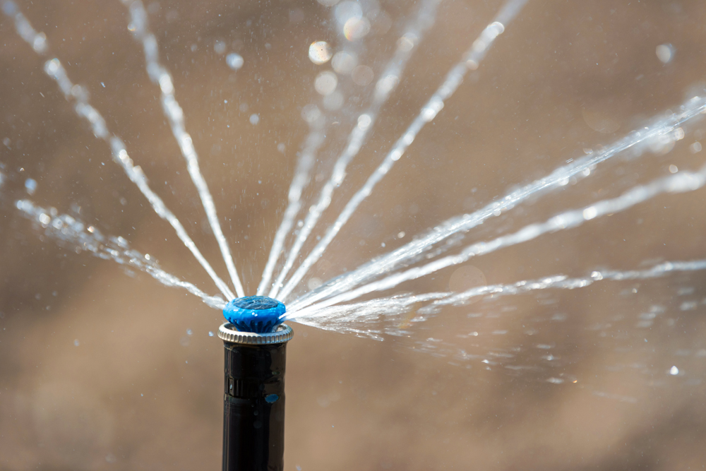 Don’t Put Off Sprinkler Repairs Until Next Year